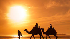 Select from premium dubai camel ride of the highest quality. Book Dubai Desert Safari Camel Trekking With Vip Camp Dotravel