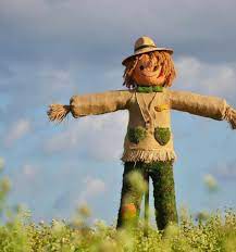 epingle par francoise vendeou sur amenagement jardin epouvantail de jardin epouvantail jardins