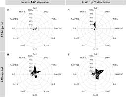 Image result for White 1997 AAV