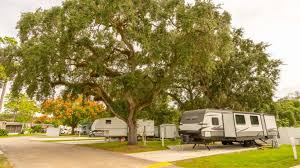 Maybe you would like to learn more about one of these? Rv Living Near Disney World Mill Creek Rv Resort