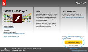 100% safe and virus free. Install Flash On Macos Whatismybrowser Com