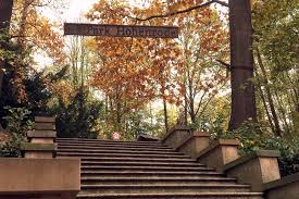 Park Hohenrode In Nordhausen Ein Kleinod Fur Spazierganger