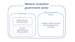 The wa government announced a $607 million package to support wa households and small m mcgowan (wa premier), new border controls to help protect western australia, media release, 22. The Structure Of The Western Australian Government Sector