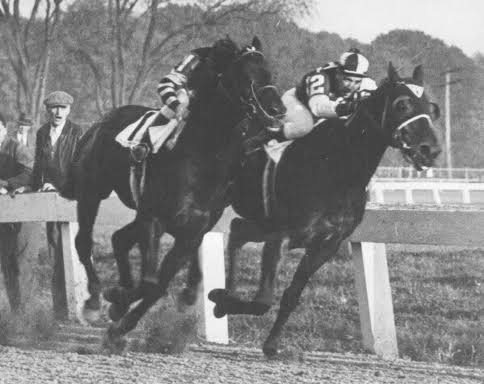 Seabiscuit: DNA Of A Champion – Seabiscuit Heritage Foundation