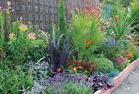 Mediterranean Garden Borders Google Search Boarder Plants Contemporary Garden Mediterranean Plants