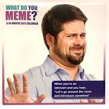 What Do You Meme 12 X 24 16 Month 2021 Wall Calendar Walmart Com Walmart Com