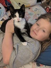 Lost Dog in Johnson County, Indiana