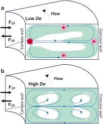 It publishes original work on theoretical, computational, and experimental aspects of the subject. Dean Flow Dynamics In Low Aspect Ratio Spiral Microchannels Scientific Reports