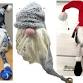 SEW HOLIDAY GNOMES event image