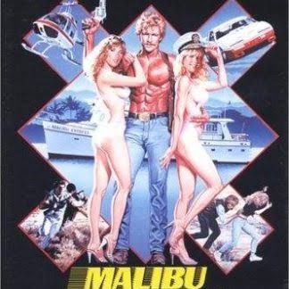Malibu Express (1985) starring Darby Hinton on DVD - DVD Lady - Classics on  DVD