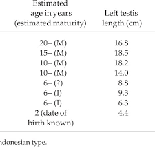 Body Weight Length Estimated Age And Testicular Size In