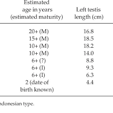 body weight length estimated age and testicular size in