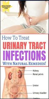 How To Treat Urinary Tract Infection With Natural Remedies Urinary Tract Infection Urinary Tract Urinary Tract Infection Symptoms