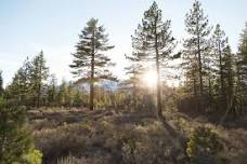 Harney County Forest Restoration Collaborative Meeting