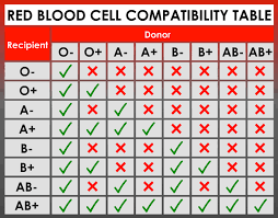 What Are The Rarest Blood Types In The World Is Yours The