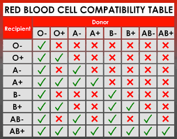 what are the rarest blood types in the world is yours the