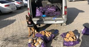 Ajanslardan alınan haberlerin yeniden yayımı ve herhangi bir ortamda basılması, ilgili ajansların bu yöndeki politikasına bağlı olarak önceden yazılı izin gerektirir. Van Da Uyusturucu Tacirlerine Narkotik Kopegi Efes Ten Darbe Son Dakika Haberler