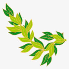 We did not find results for: Daun Png Images Free Transparent Daun Download Kindpng