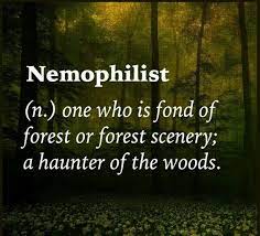 Nemophilist orman düşkünü nemophilist orman sever nemophilist ne demek. Nemophilist Meaning
