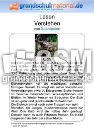 Sie sind vom aussterben bedroht, weil ihr lebensraum zerstört wird. Elch Sachtext Sachtexte Tiere Sachtexte Lesen Deutsch Klasse 3 Grundschulmaterial De