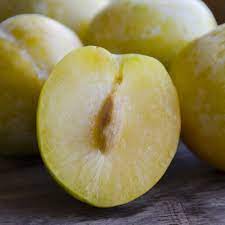 Emerald Beaut Pluot Medium Plus 4pcs Momobud