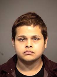 Police: Groomer, boyfriend admit to taking dog, abandoning her in Mesa