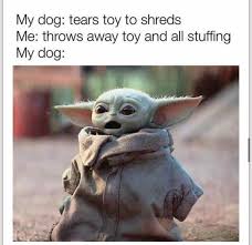 Baby Yoda Dogs Stuffing Yoda Funny Yoda Meme Funny Memes