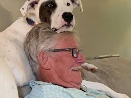 Bernie Funke Obituary (1945