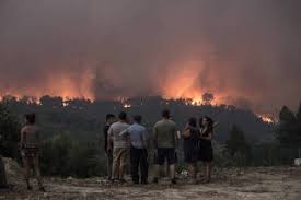 Você está em:home»sociedade»calor e vento complicam incêndio em monchique. Por Que Esta Incontrolavel O Incendio Em Portugal 08 08 2018 Mundo Folha