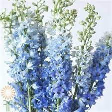 Pin On Wedding Flowers