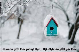 حكم في صور عن التواضع Sowarr Com موقع صور أنت في صورة Bird Houses Bird House Small Pictures