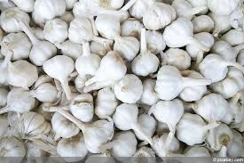 Knoblauch Aus Zehen Pflanzen Anleitung Zum Stecken Knoblauch Pflanzen Garten Anpflanzen Garten Pflanzen