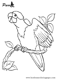 Free Printable Parrot Coloring Pages For Kids Animal Coloring Pages Free Coloring Pages Coloring Pages
