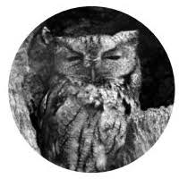 Meet the Contributors • SftP Magazine