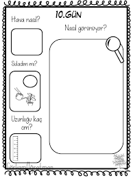 Serap B Adli Kullanicinin Bitki Gozlem Kitapcigim Panosundaki Pin Okul Oncesi Egitim Ogretim
