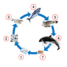 We did not find results for: Kunci Jawaban Buku Tematik Tema 5 Kelas 5 Halaman 61 62 63 65 Koesrow