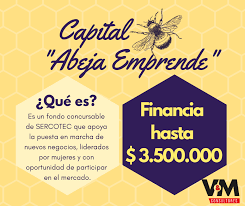 Las consideraciones han sido formuladas por carol altamirano. V M Consultores Posts Facebook
