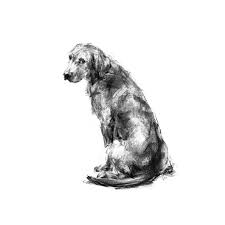 Labrador Sitting Sketch Print Dog Art Dog Paintings Dog Portraits