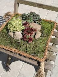 Succulent Pillow From Chicken Wire Rope And Moss Garden Containers Slate Garden Garden Boxes