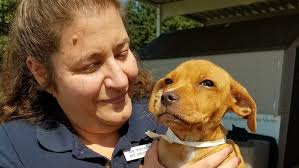 Hurricane Harvey displaces pets, St. George women travel to help