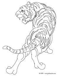 Coloriage D Un Magnifique Tigre Realiste Colorie Ce Beau Tigre De Plein De Couleurs Un Coloriage Parfait Animal Coloring Pages Tiger Pictures Animal Drawings