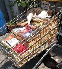 Books And A Cat In A Shopping Cart Everything I Need Is In The Bookstore Libri E Un Gatto In Un Carrello Della Spesa Tutto Quello Cat Books Cats Cat Lovers