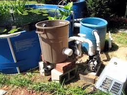 Intex Pool For Pond Intex Pool Pond Ponds Backyard