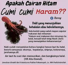Eating octopus is haram (forbidden). Apakah Cairan Hitam Cumi Cumi Haram Bontang Bertauhid Facebook