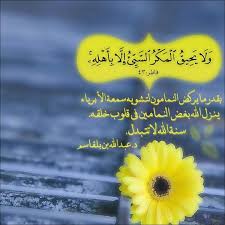 لا يحيق المكر Holy Quran Quran Verses Quran