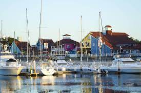 Error 404 Website Not Found San Pedro California California Travel California Coast