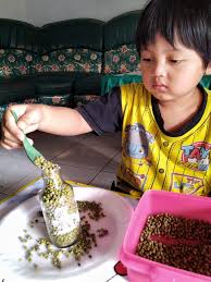 We did not find results for: Playgroup Taman Kanak Kanak
