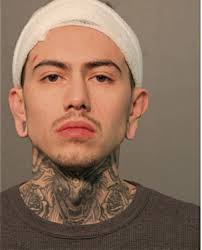 ᐅ Illinois Criminal Records 2009-2025