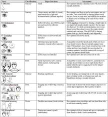 example of a cranial nerve assessment nursing assessment