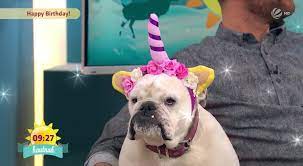 So ein ausrufezeichen wie in der sendung vom mittwochmorgen hat aber auch eine routinierte moderatorin. Fruhstucksfernsehen Video Alle Gute Zum Geburtstag Lotte Sat 1